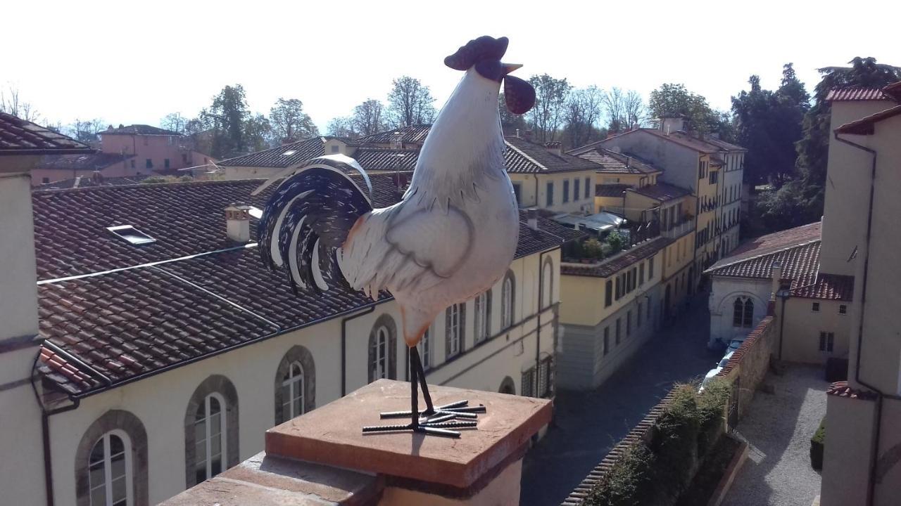 Terrazza Coccode' Spazioso Con Vista Mozzafiato! Lucca Exterior photo